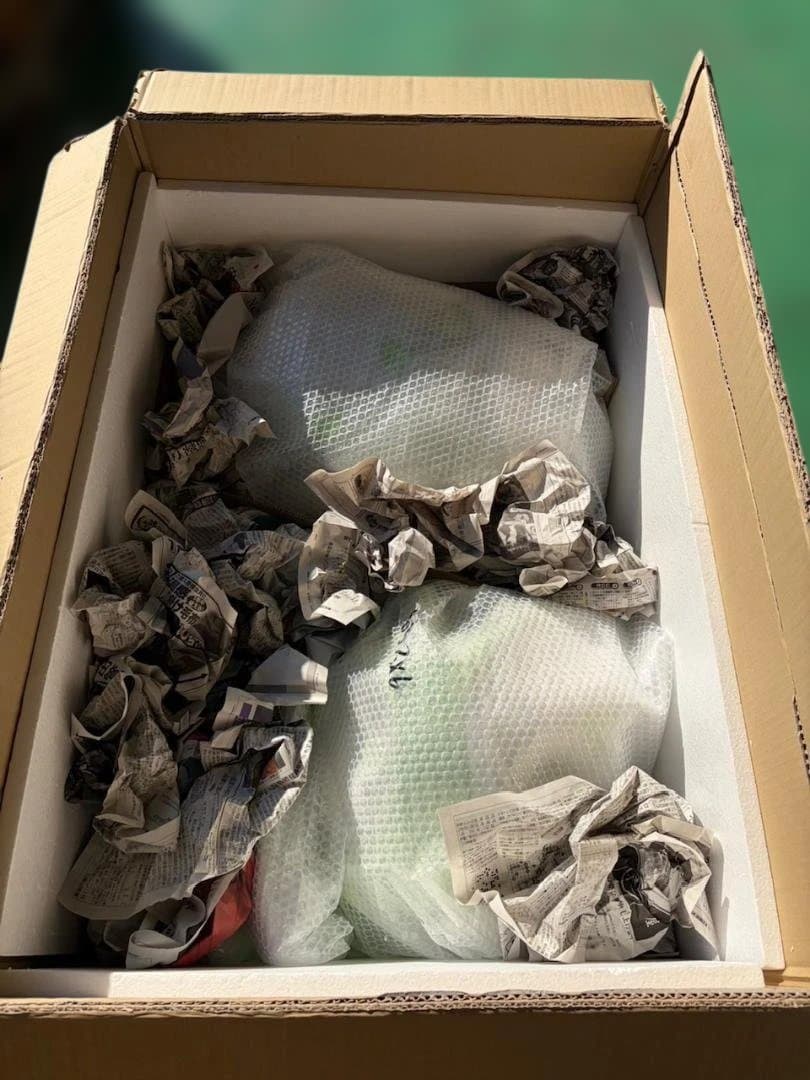 mハートtopZ900RS　cafe　ライムグリーン　外装セット