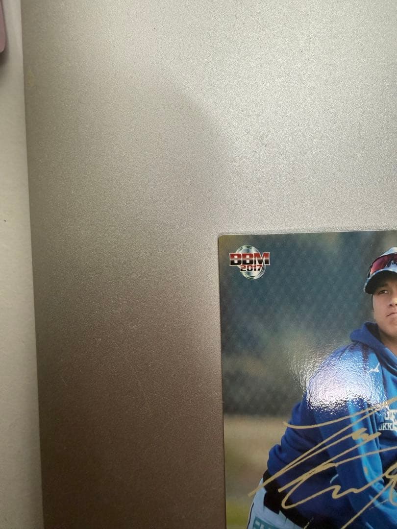 2017年 ホームランシリーズコレクションカードホルダー