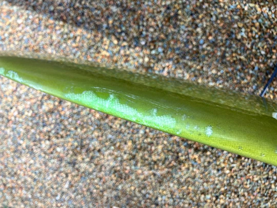 mumutaroCreamクリームファットキャット　9'8 剥離シーコング