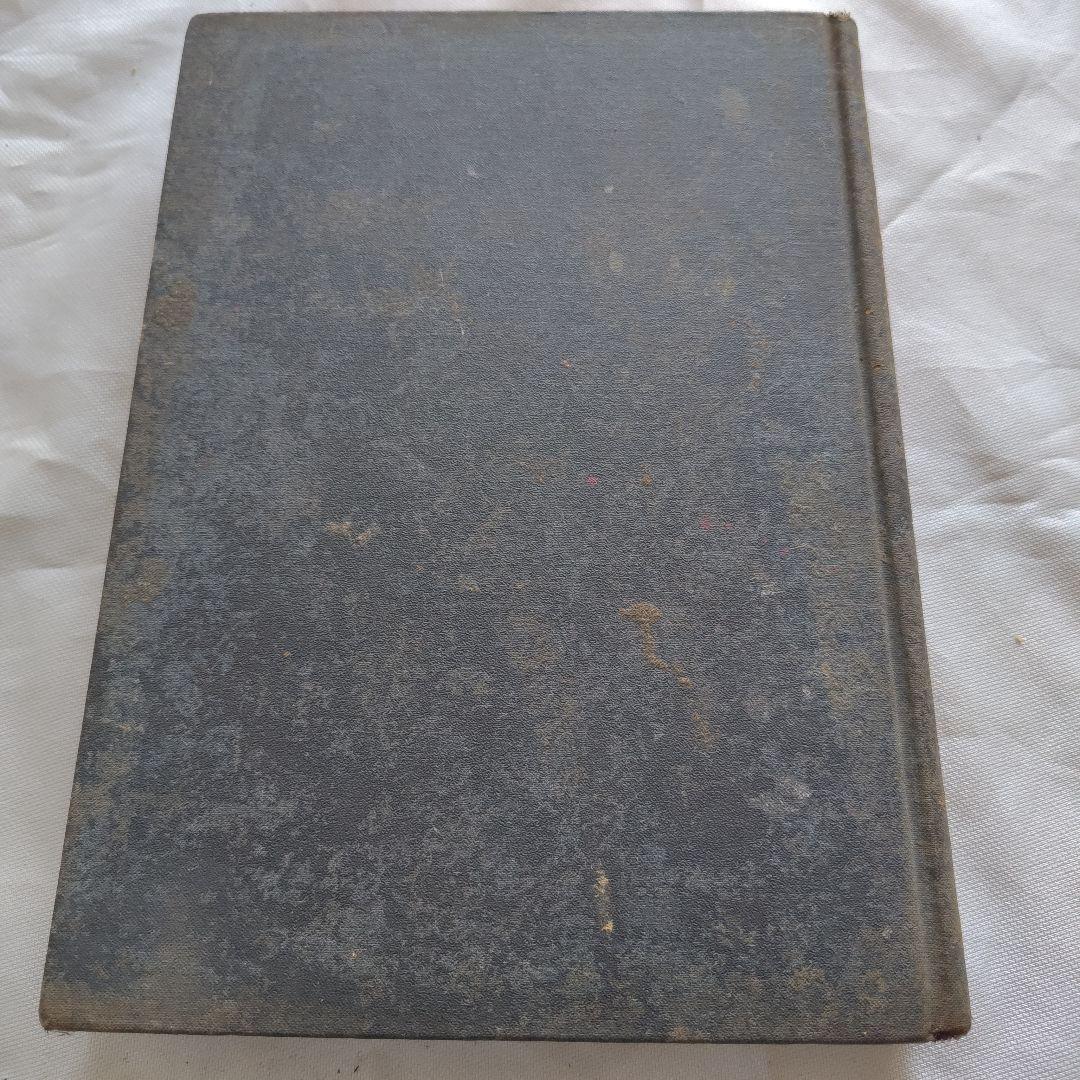 1929年マクミラン社発行 ピノキオの冒険