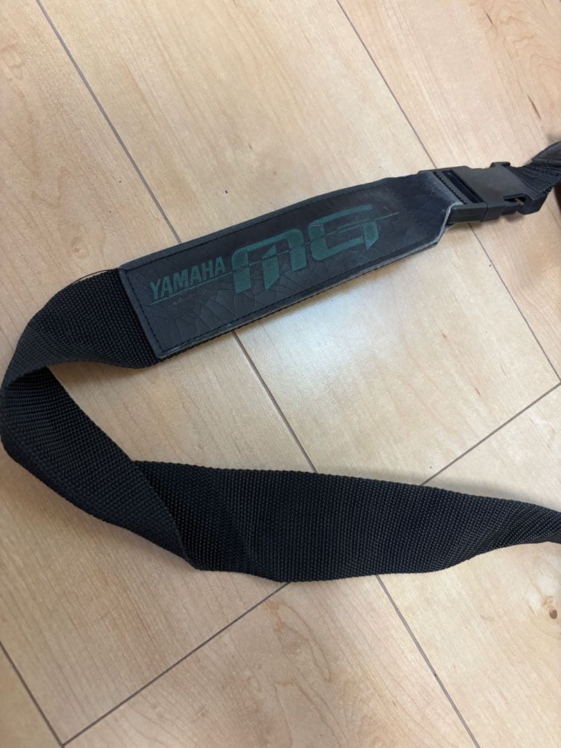 エレキギター CHARVEL P.O.Box2344 TX76113