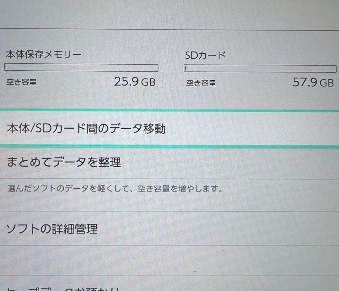 Nintendo Switch Lite イエロー 専用アダプター、SDカード付
