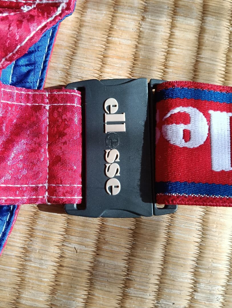 ellesse スキーウェア ココリコ フランス代表