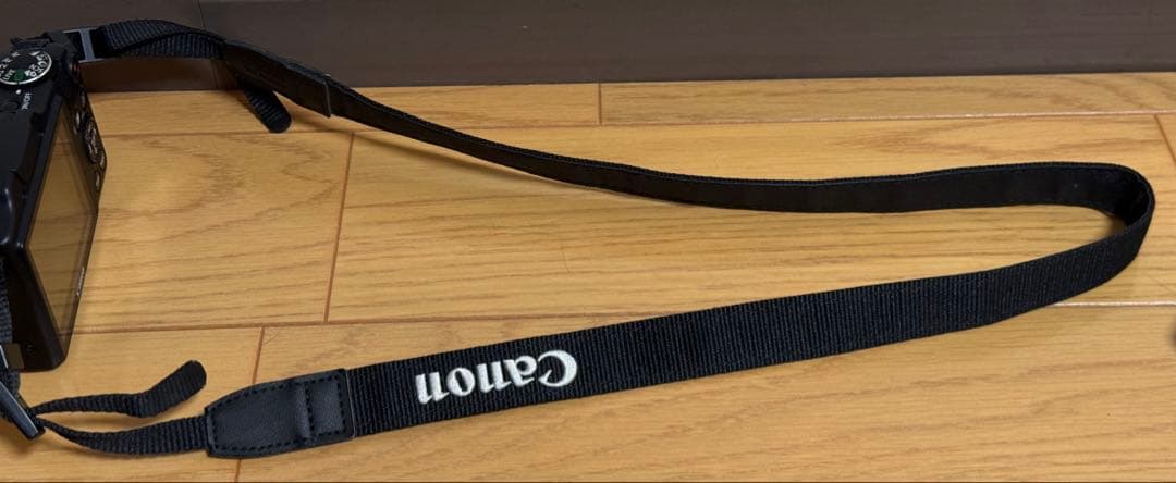 Canon PowerShot SX510 HS バッテリー　充電器　ケース付き