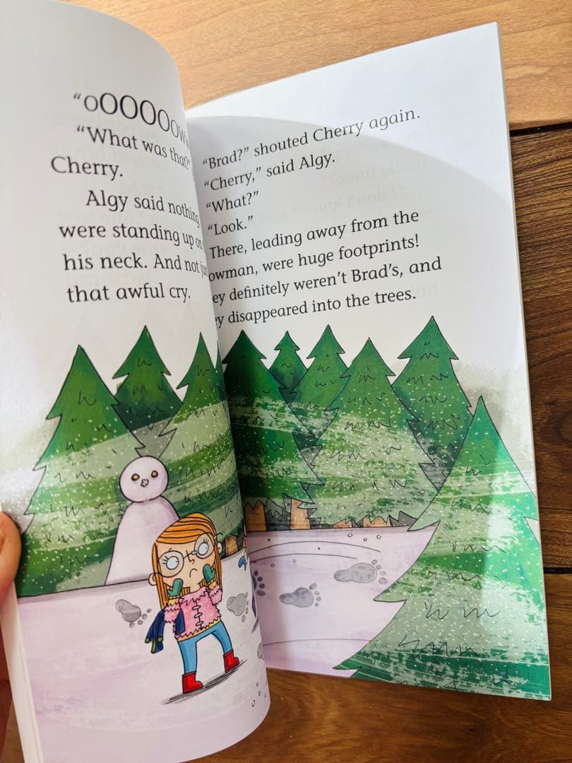 Early reader 30冊セット　英語の絵本