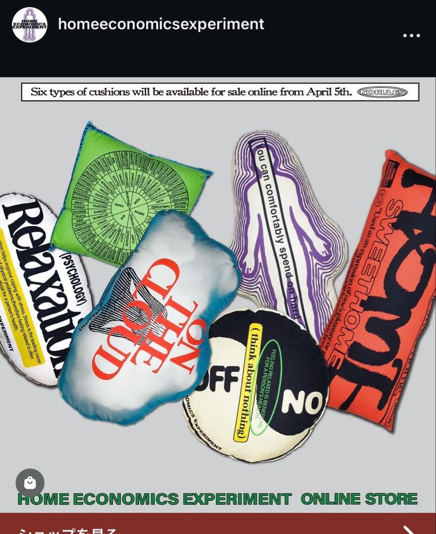  ECONOMICS EXPERIMENT クッション HEE レア