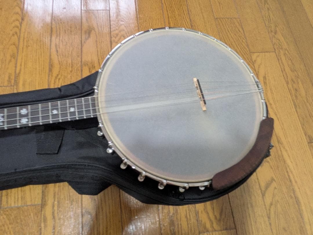 Gold Tone IT-19 Banjo 4弦 アイリッシュバンジョー