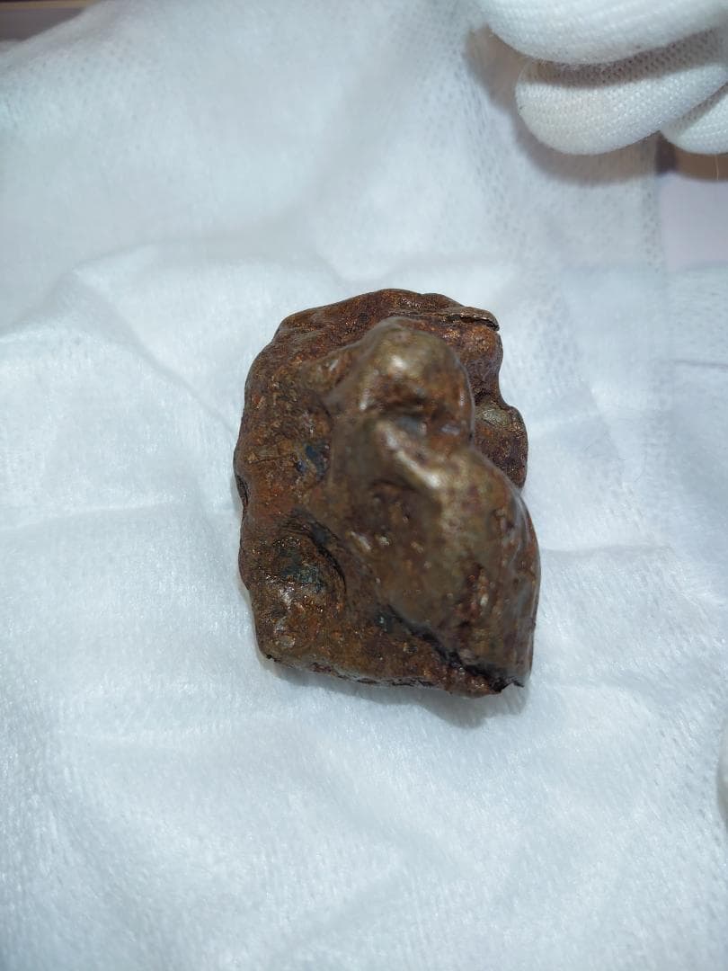 隕石 Sijoté-Alín. 189gr.