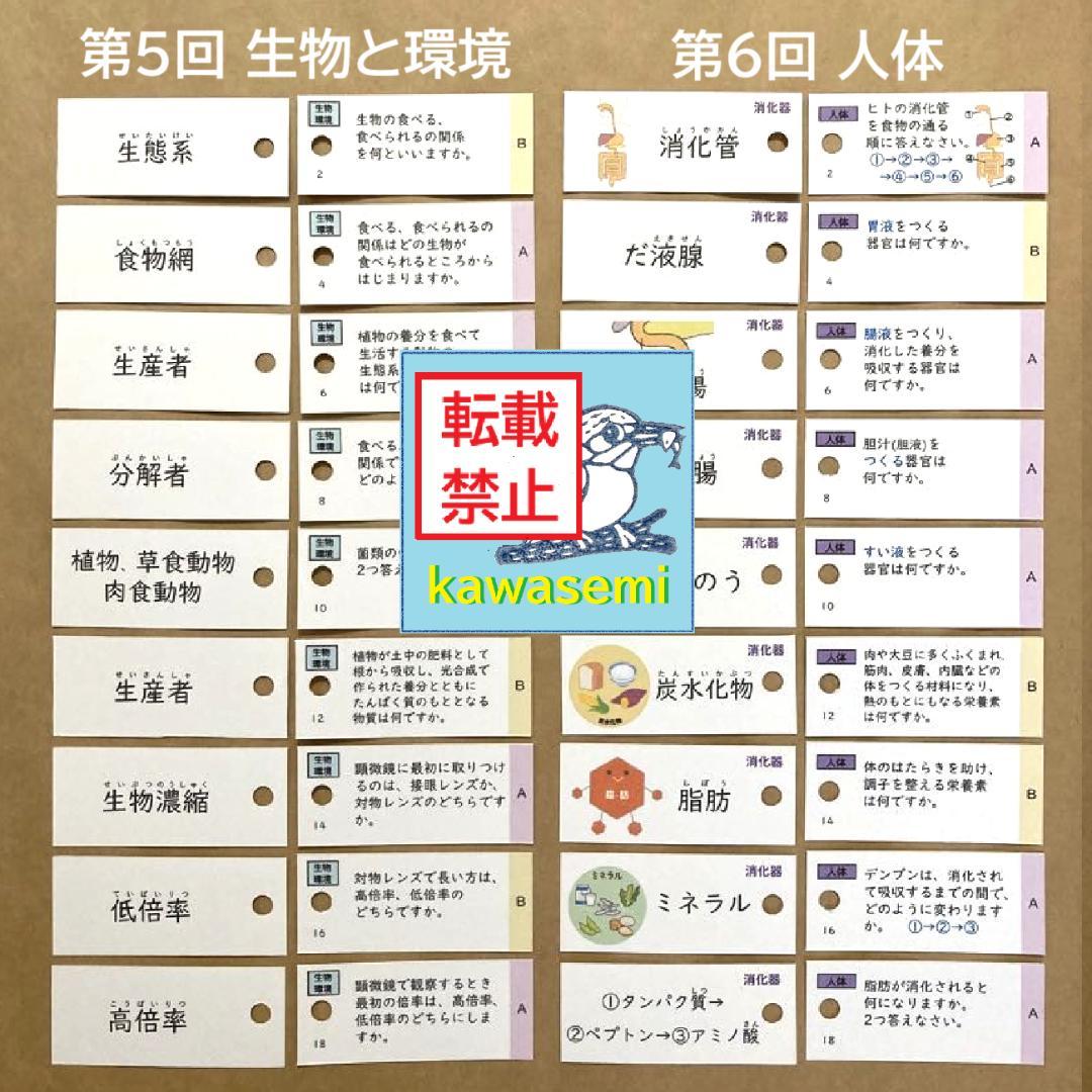 【中学受験】理科の基本事項 知識編 理科 暗記カード フルセットb