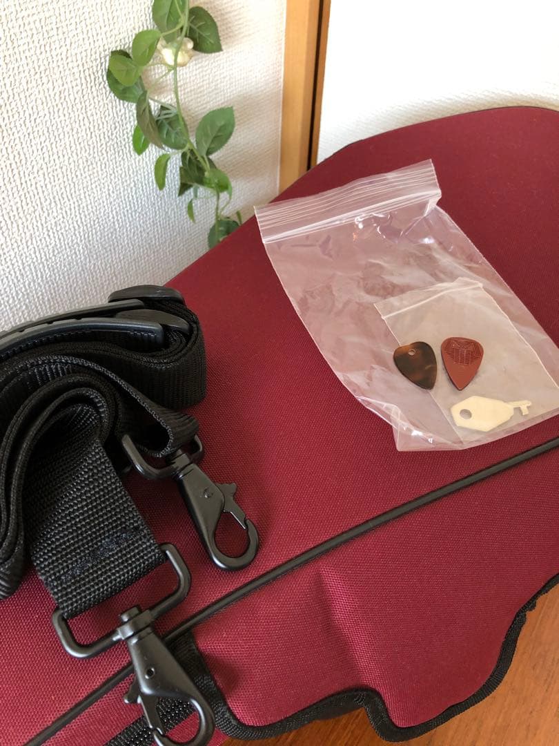 カラーチェ マンドリン TYPE 24 2004年製 ナポリ製手工品