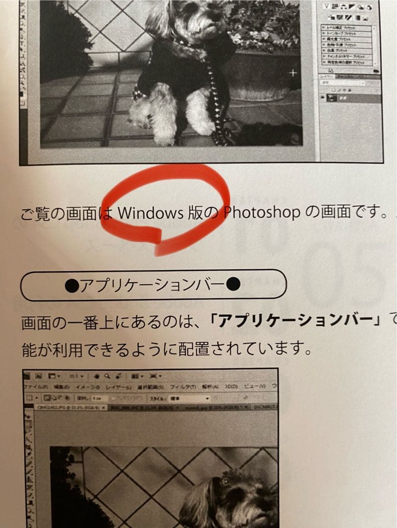 誰でもわかる Adobe Photoshop Illustrator
