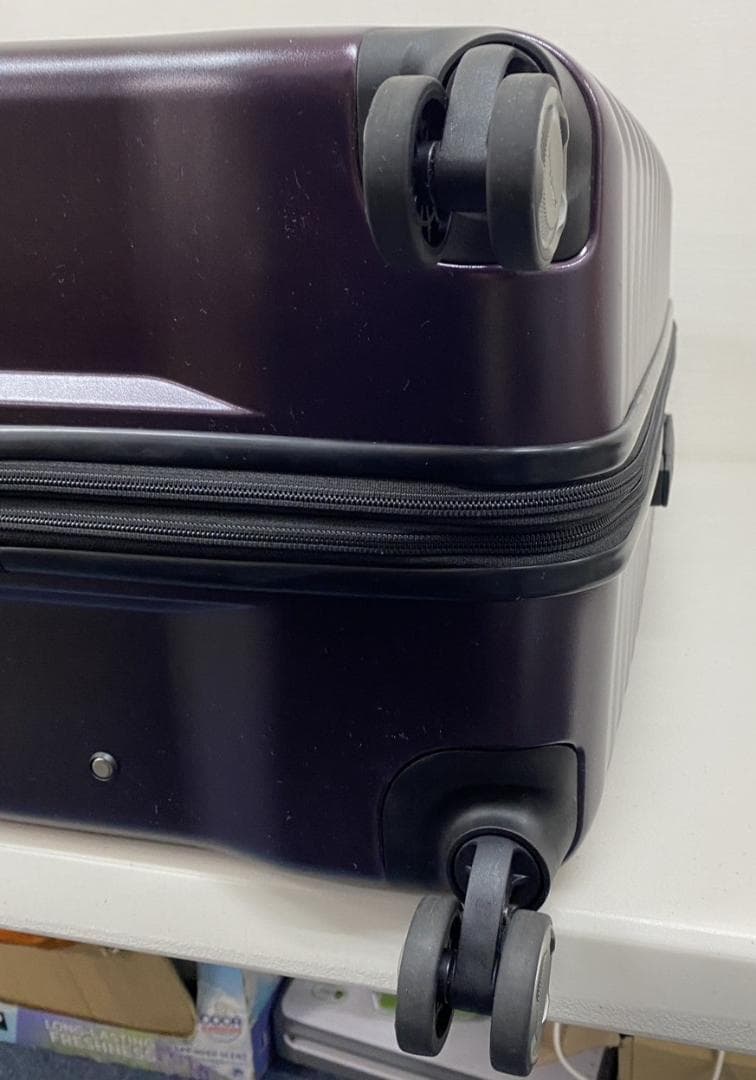 サムソナイト エレメントスーツケース 27インチ ブラックベリー 固定式TSA