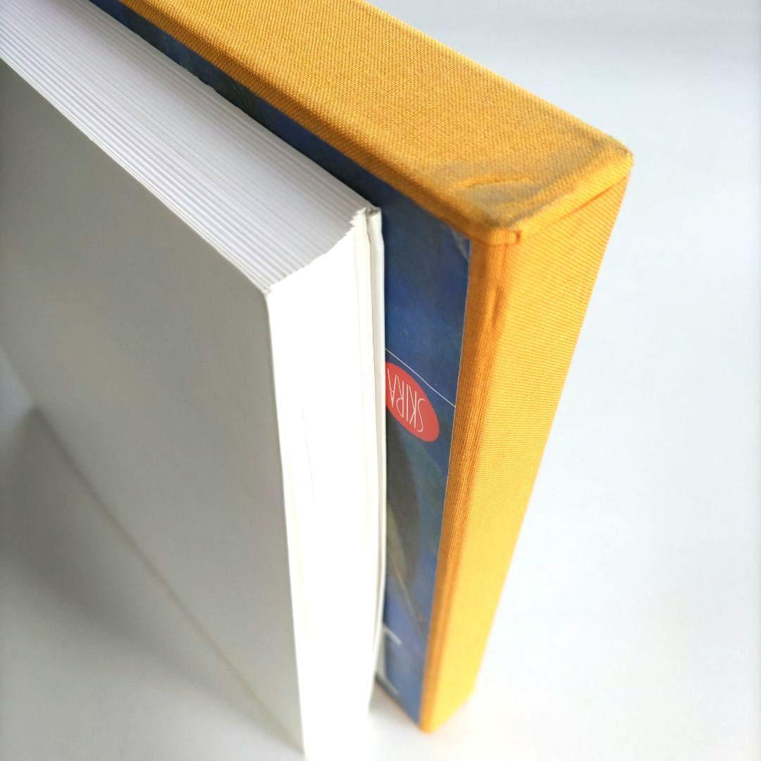 Redon/オディロン・ルドン 画集 作品集 絵画 アート