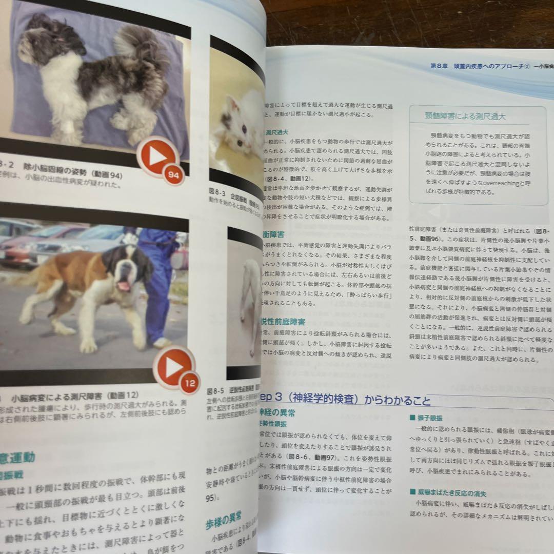 3ステップで考える犬と猫の神経疾患の診断アプローチ