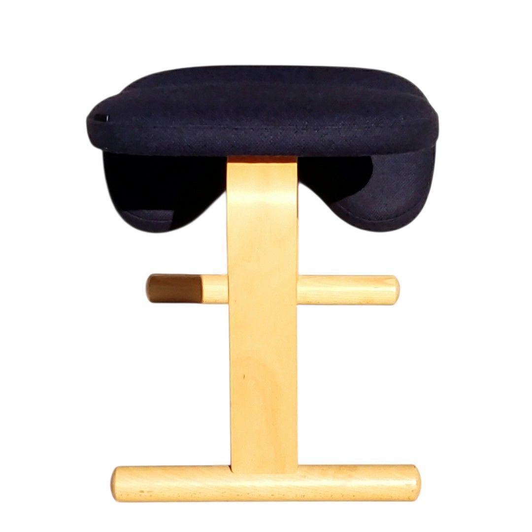 リボ バランスイージー バランスチェア ネイビー ブナ 姿勢矯正 北欧