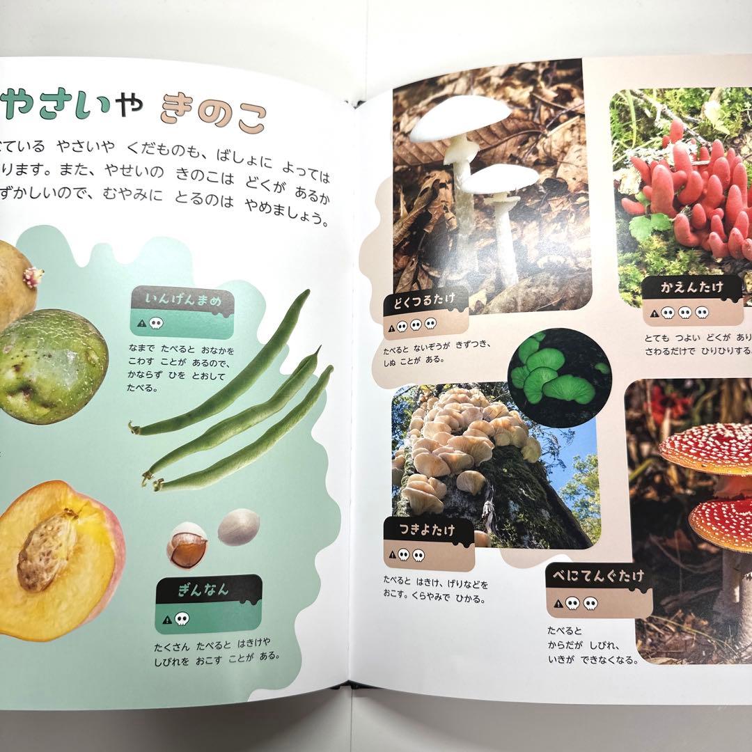 【2点購入150円引】キンダーブック しぜん どくのあるいきもの2024年8月号