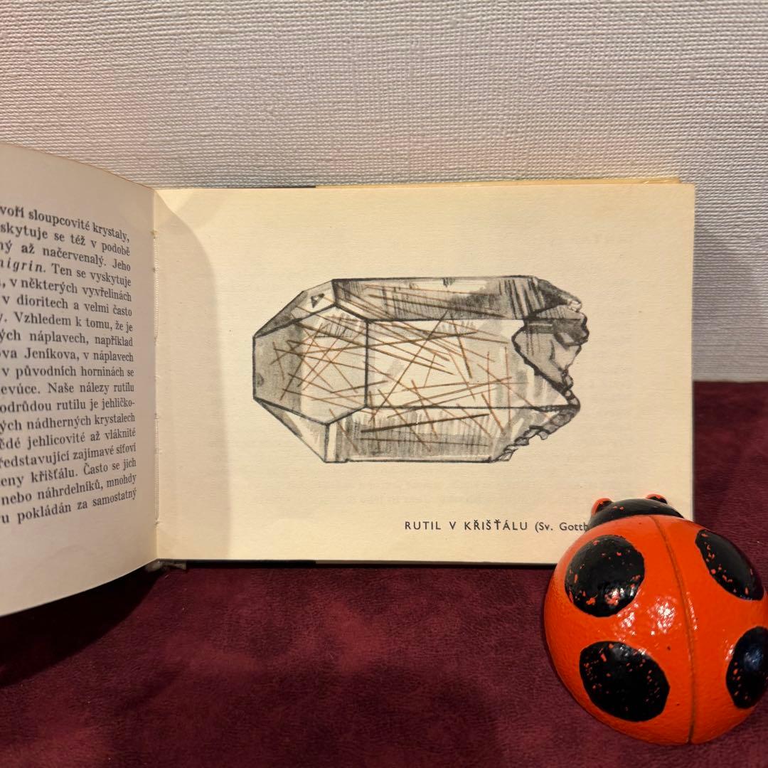 113④チェコビンテージ鉱石図鑑2冊セット　ジャンクジャーナル　ボタンニカル