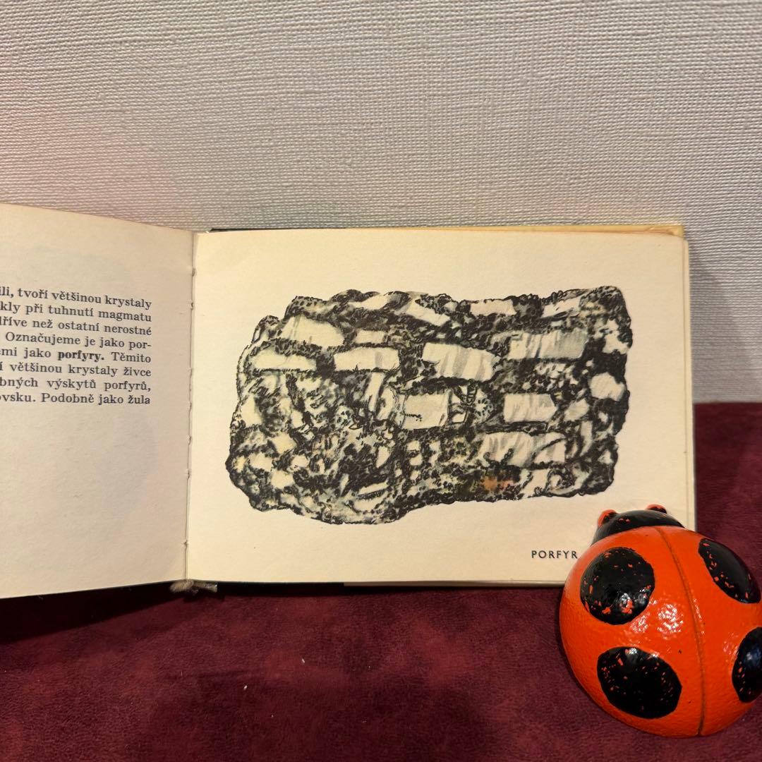 113④チェコビンテージ鉱石図鑑2冊セット　ジャンクジャーナル　ボタンニカル