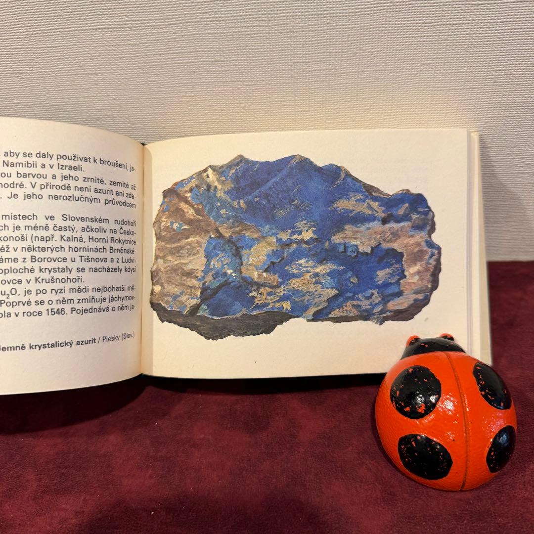 113④チェコビンテージ鉱石図鑑2冊セット　ジャンクジャーナル　ボタンニカル