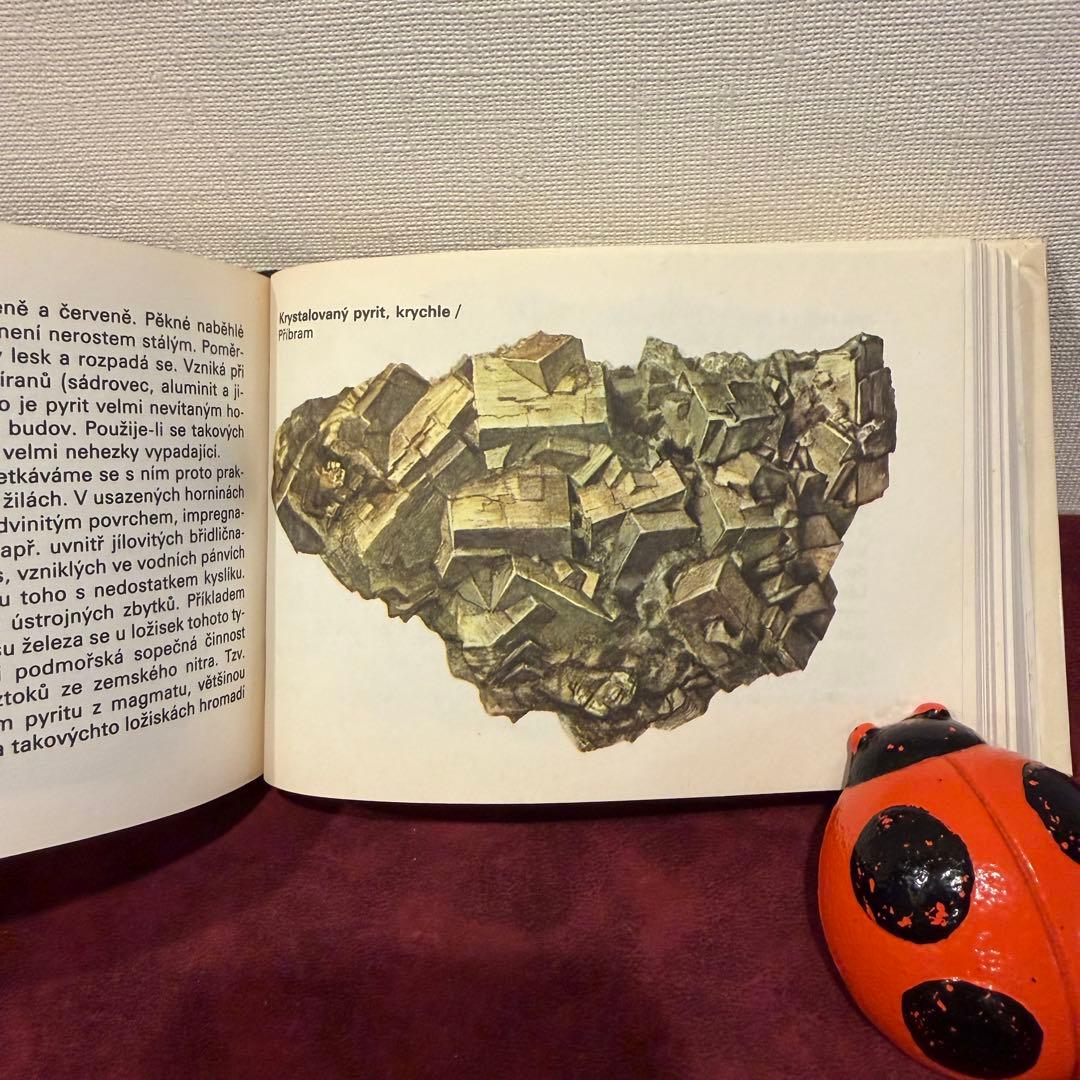 113④チェコビンテージ鉱石図鑑2冊セット　ジャンクジャーナル　ボタンニカル