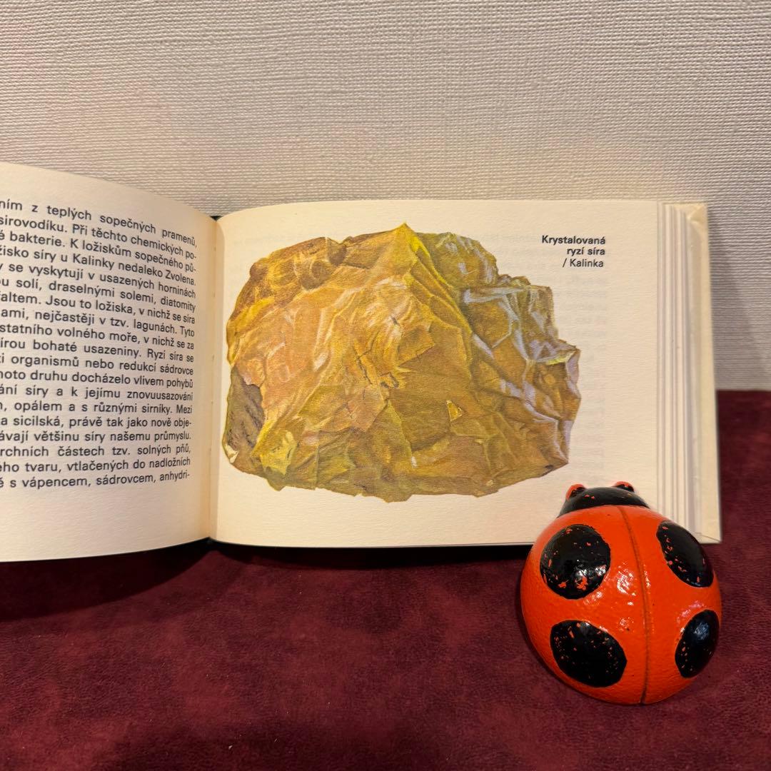 113④チェコビンテージ鉱石図鑑2冊セット　ジャンクジャーナル　ボタンニカル