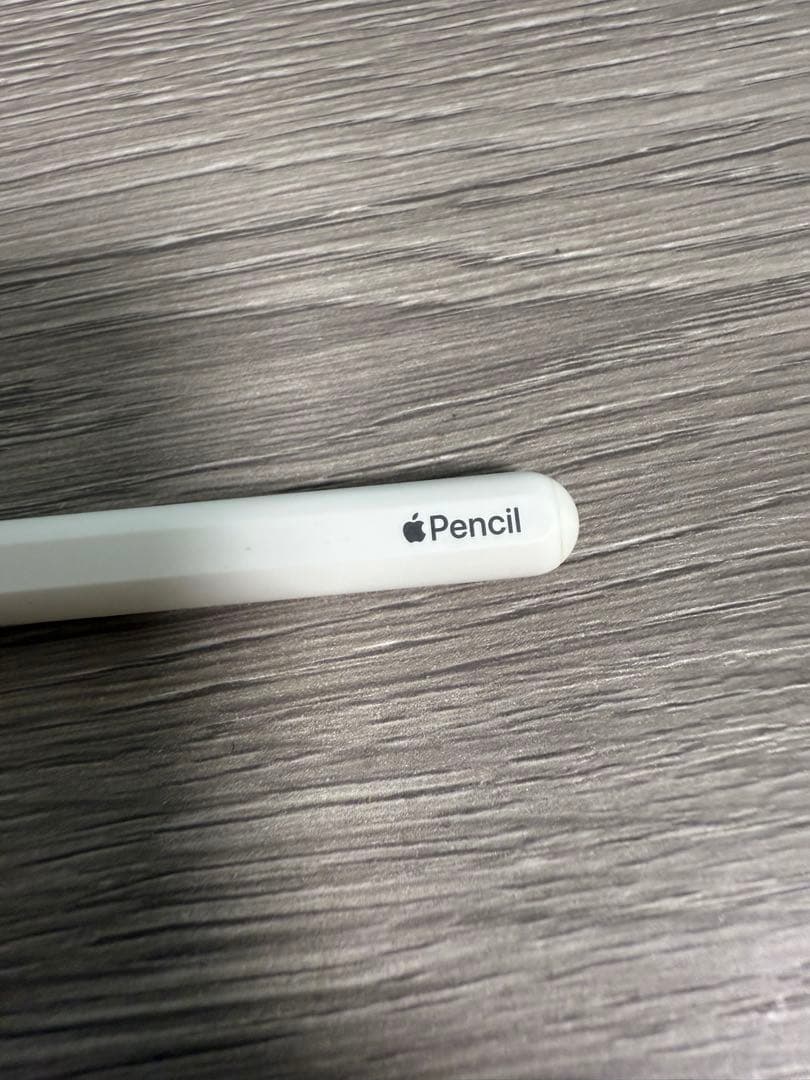 【専用】iPad Pro 11インチ（第1世代）512GBApplePencil