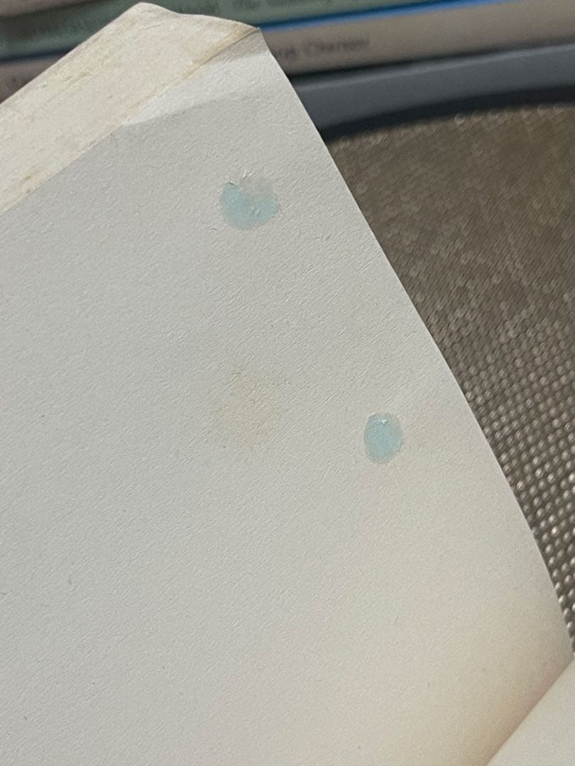 希少　Moments of Being Virginia Woolf