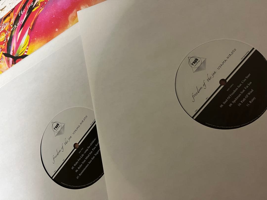 Feeling of the Sun 2枚組レコード