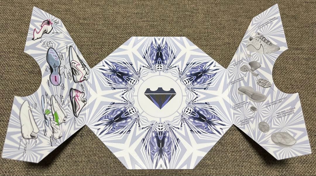 NIKE LEBRON 22 EP ナイキ レブロン 30cm 箱付き