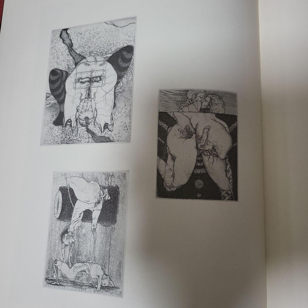 多賀 新 全作品集 SPRING DREAMER 1971〜1983　古本