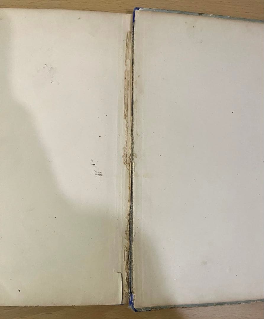 N o.429 入手困難 超希少 アンティーク 洋書 絵本 ビクトリアン 児童書