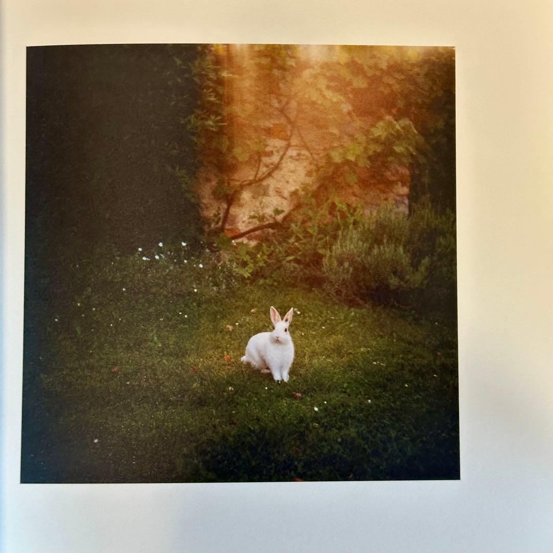 Patrick Taberna パトリック・タベルナ nos vies part