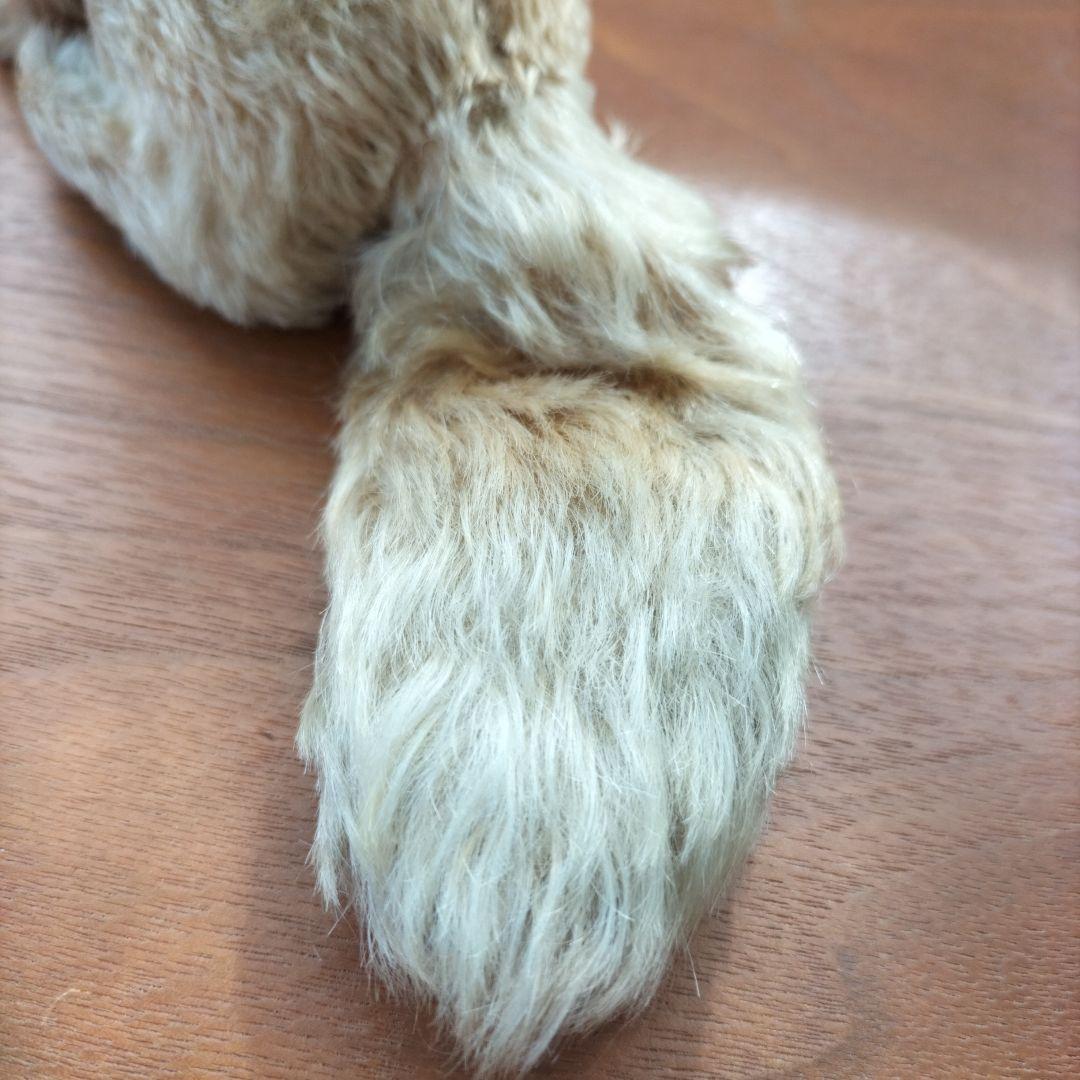 ビンテージ　シュタイフ　XORRY 砂漠キツネ　desert fox