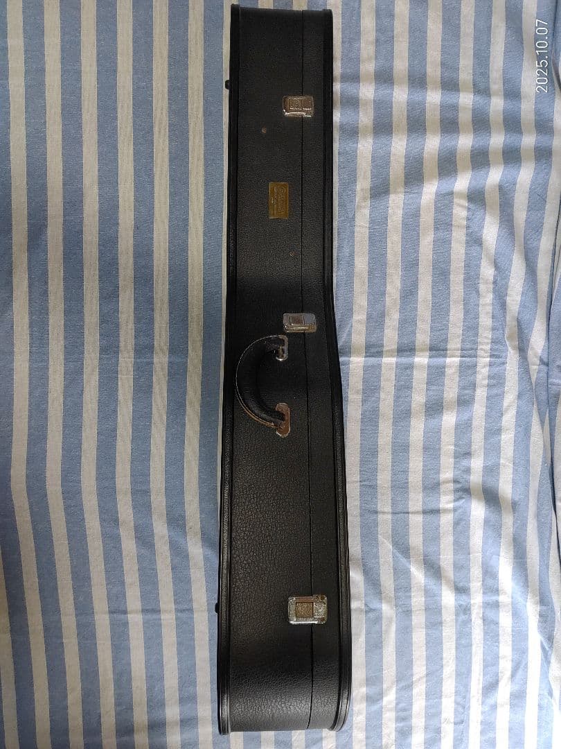 The Loarのハードケース付き1ハムフルアコLH-650vs使用感少な目美品