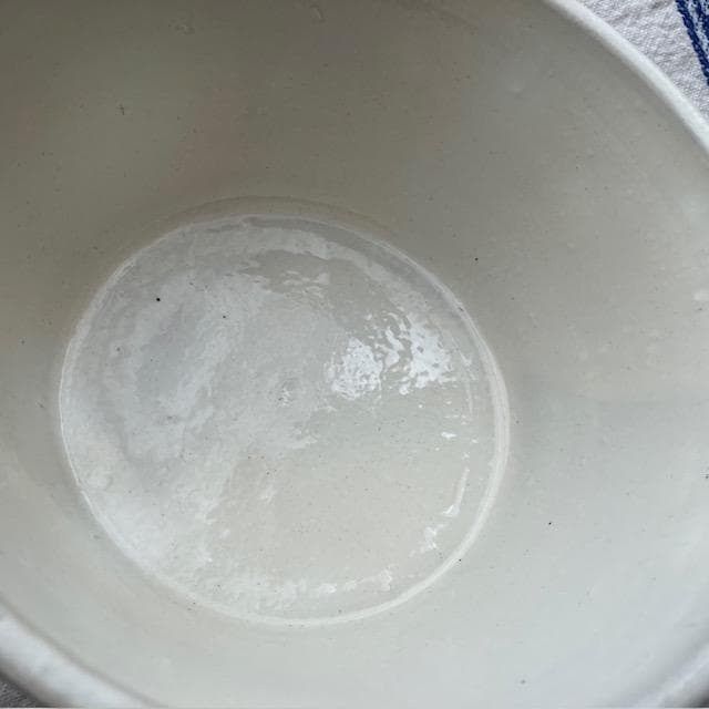 レア◆未使用◆鈴木史子大きなボウル＃長峰菜穂子サルグミンヌ田中直純ジアン安藤雅信