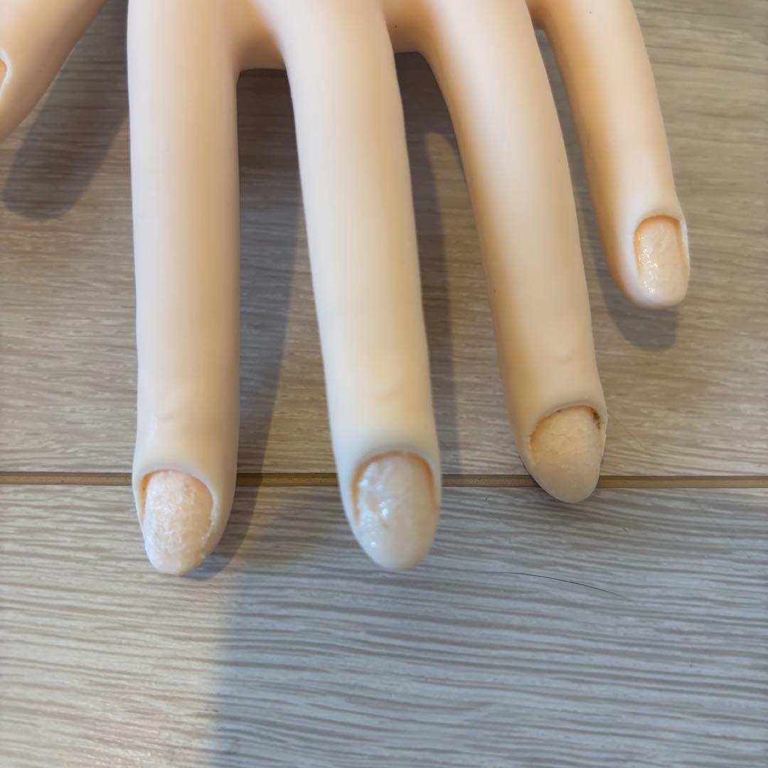 認定モデルハンド 2セットまとめ売り 検定 ジェルネイル検定 ネイリスト検定