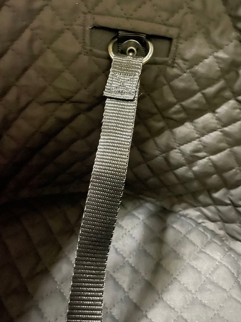 【コット単品】エアバギー　ドーム3ラージサイズ　フォレストモスDOME3＋カバー