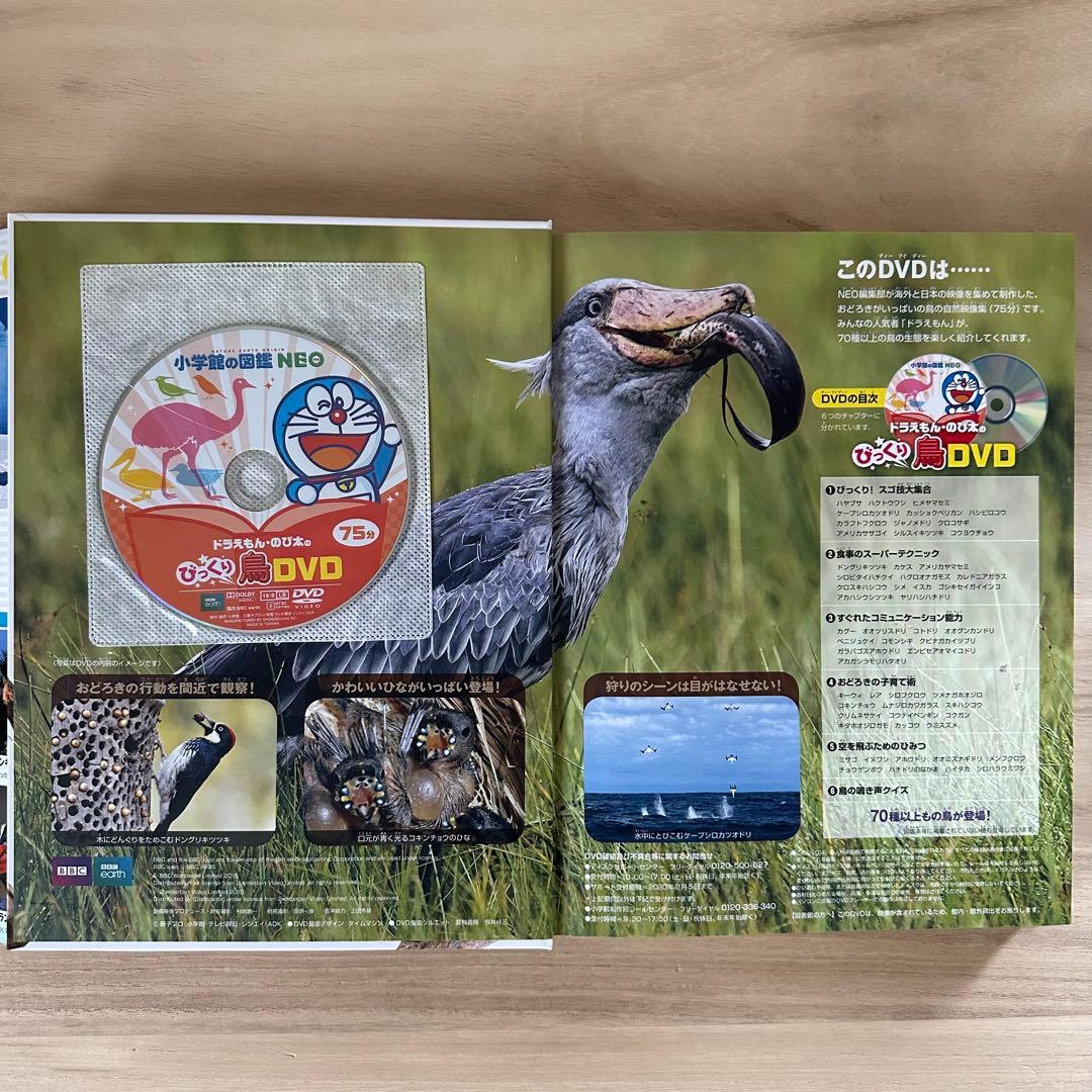 小学館の図鑑 NEO 【DVDつき】 8冊セット