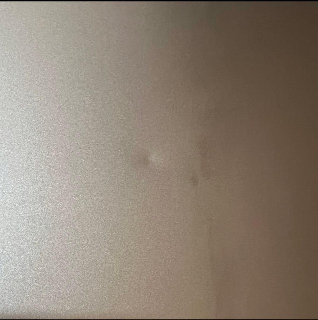 MacBook Air M1 13インチ2020 256GB/8GB