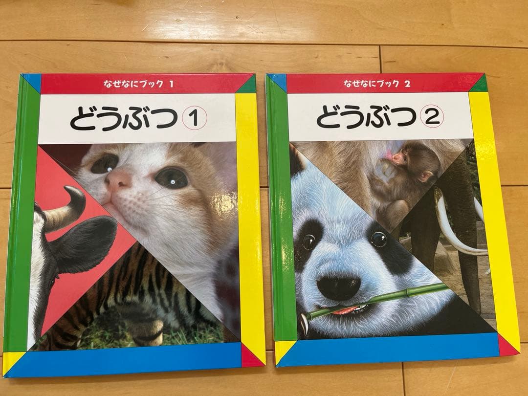 なぜなにブック　家庭保育園第4教室 22巻フルセット