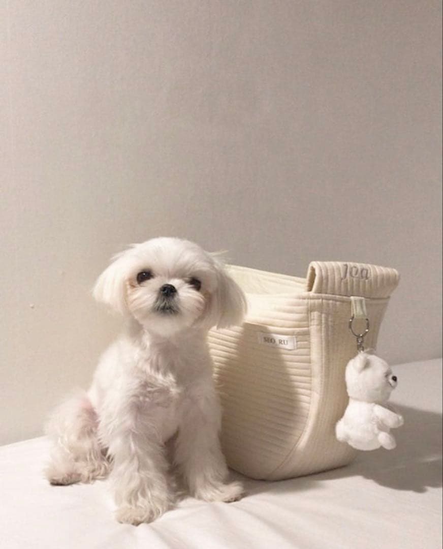 【美品】seoru スリングバッグ 韓国 キャリーバッグ　ペット　犬 猫