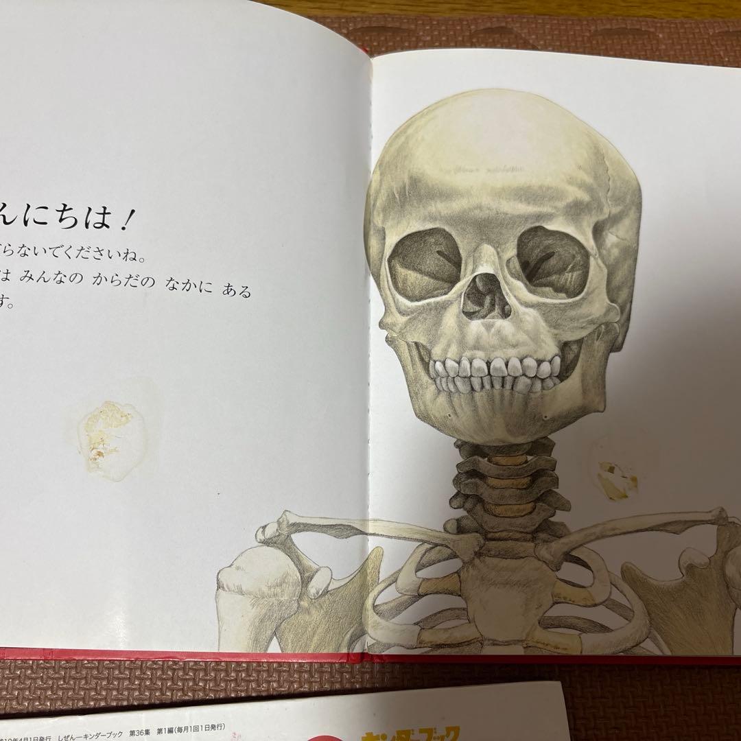 最終値下げ　キンダーブックしぜん　37冊