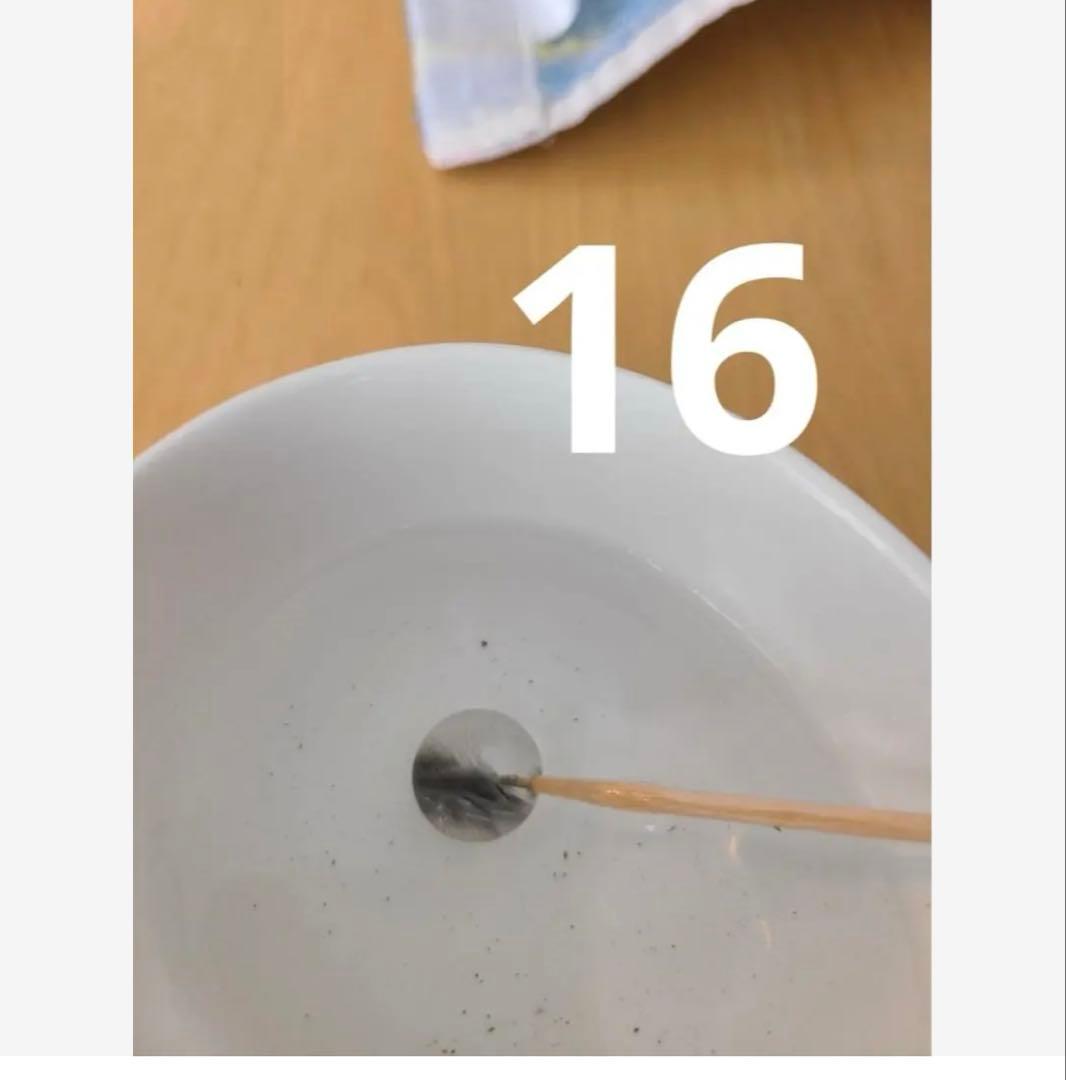 麒鯱麒鯱　プラチナルチル5番16番