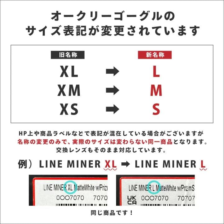 スキー・スノーボードアクセサリー OAKLEY Flight Tracker L  Goggles