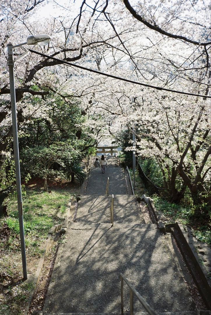 CONTAX T3D チタンシルバー　（ケース付き）