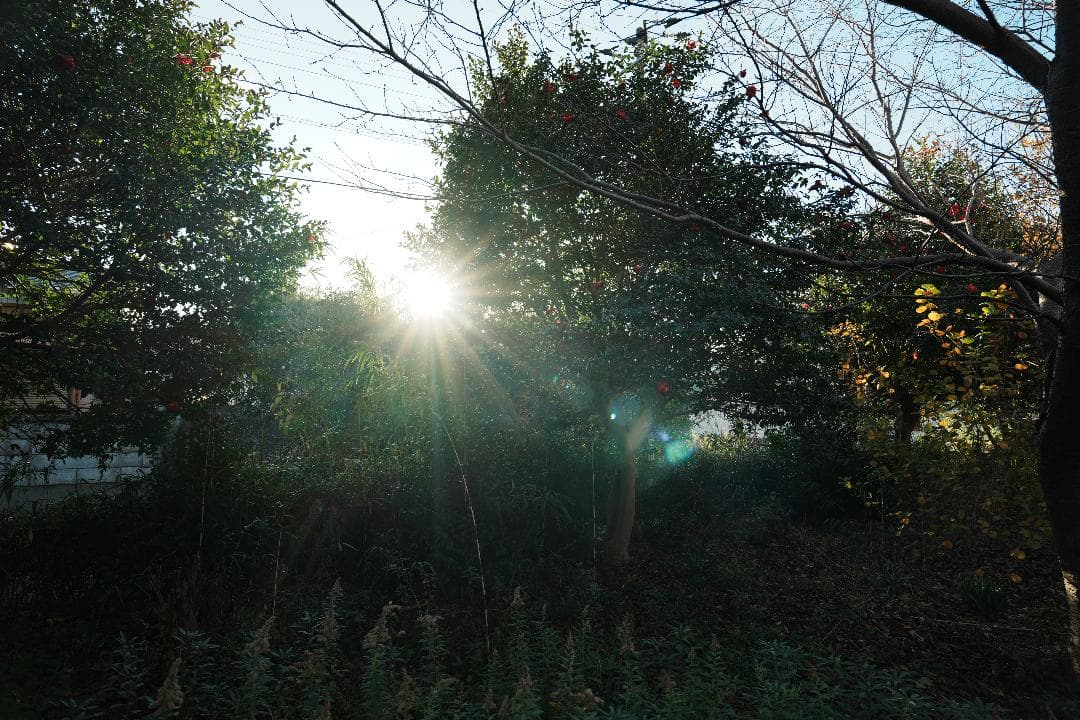 未使用級美品 SONY SEL2070G 旅も街撮りも1本完結 激レア出品