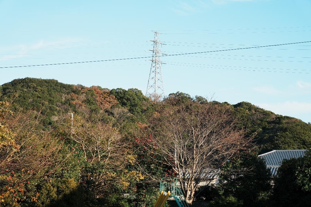 未使用級美品 SONY SEL2070G 旅も街撮りも1本完結 激レア出品