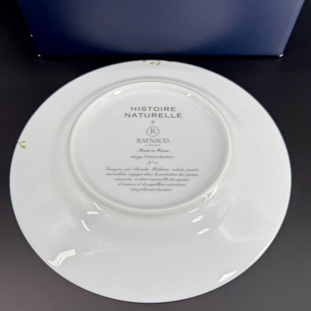 RAYNAUD ヒストリーナチュール　ブラウンバード22cm 6枚セット　箱付