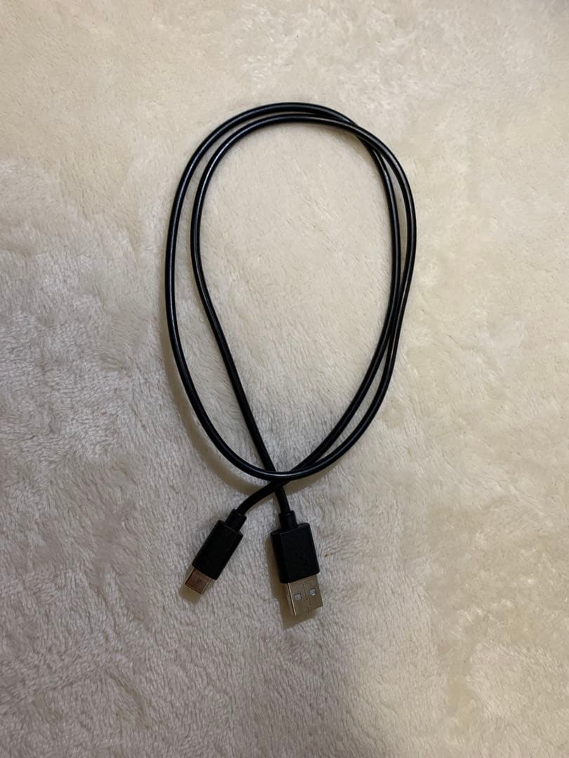 任天堂 Nintendo Switch Lite 本体 グレー【人気商品】