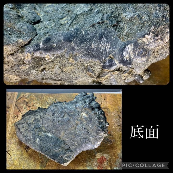 3766 揖斐川イボ石 5.88kg 水石 盆栽 盆石 置物 鑑賞石 観賞石